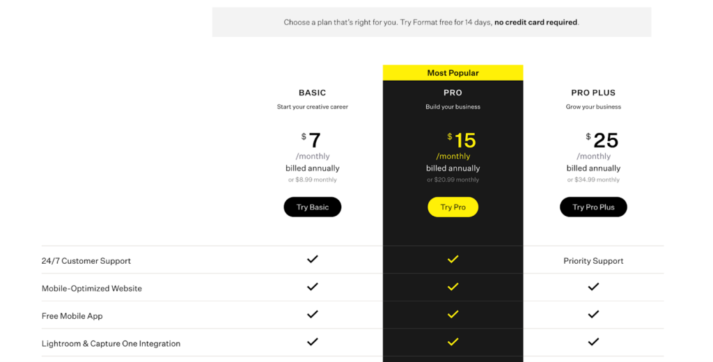 Pricing page of a SaaS site