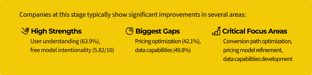 Strengths, gaps and focus areas for early self-serve revenue companies