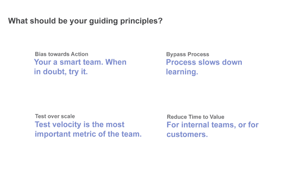 Guiding Principles of Product Growth Team