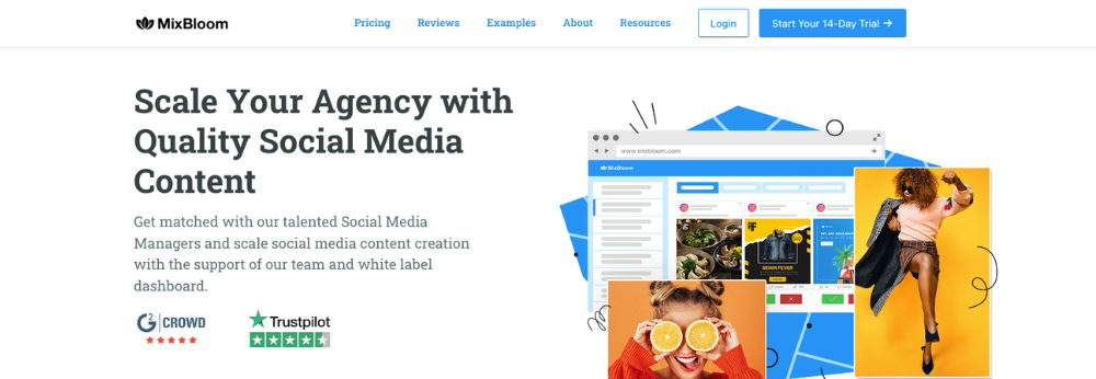 SaaS marketing agency website homepage for MixBloom